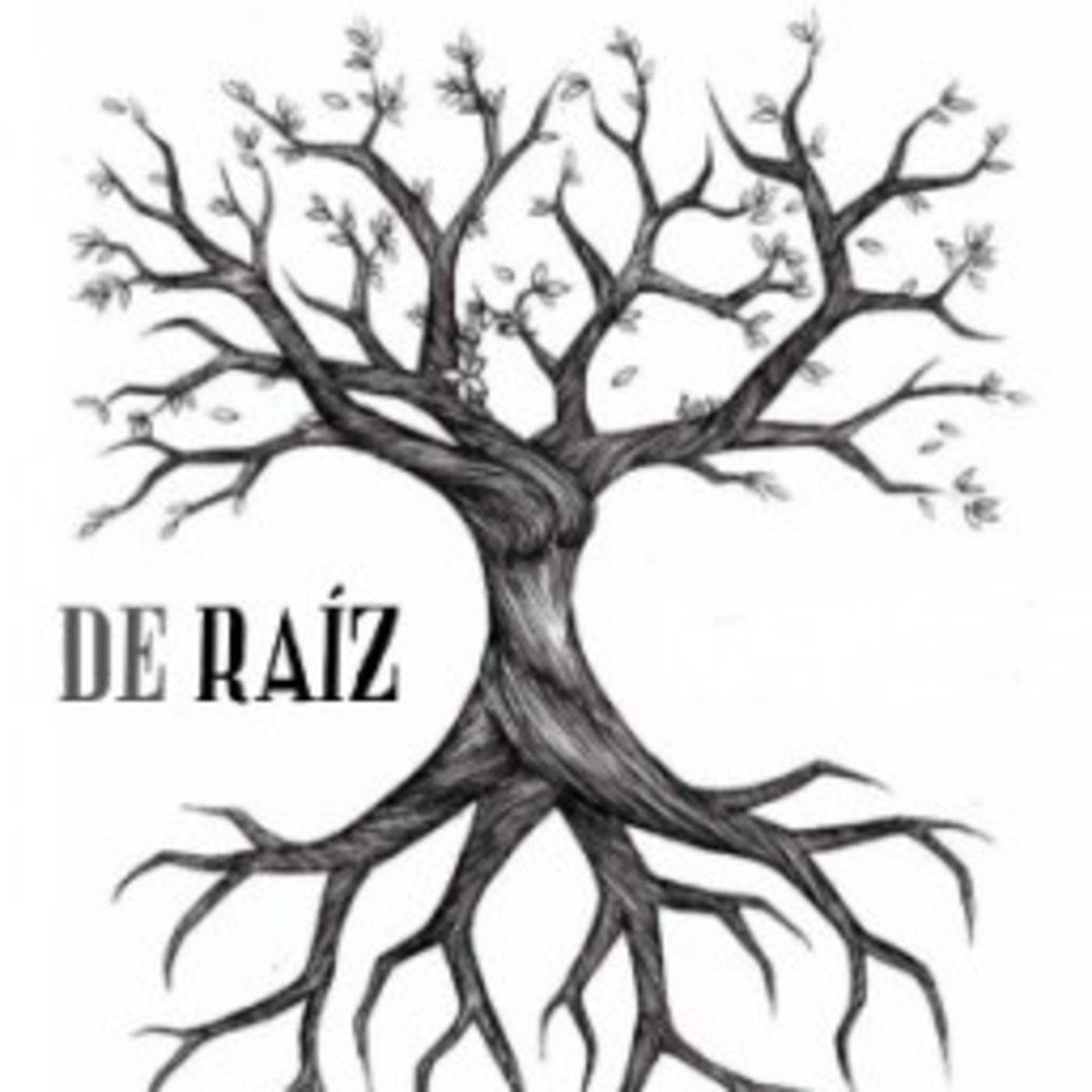 De Raíz Radio