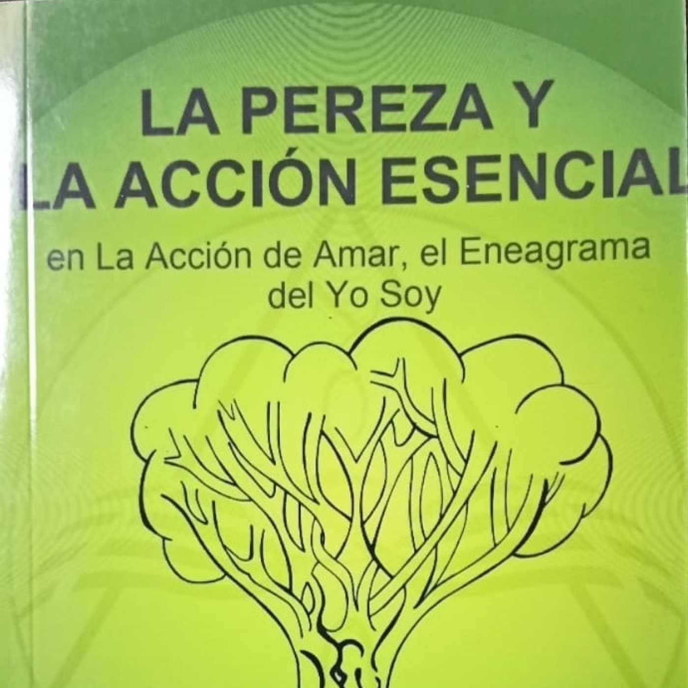 Sistemas de sanación