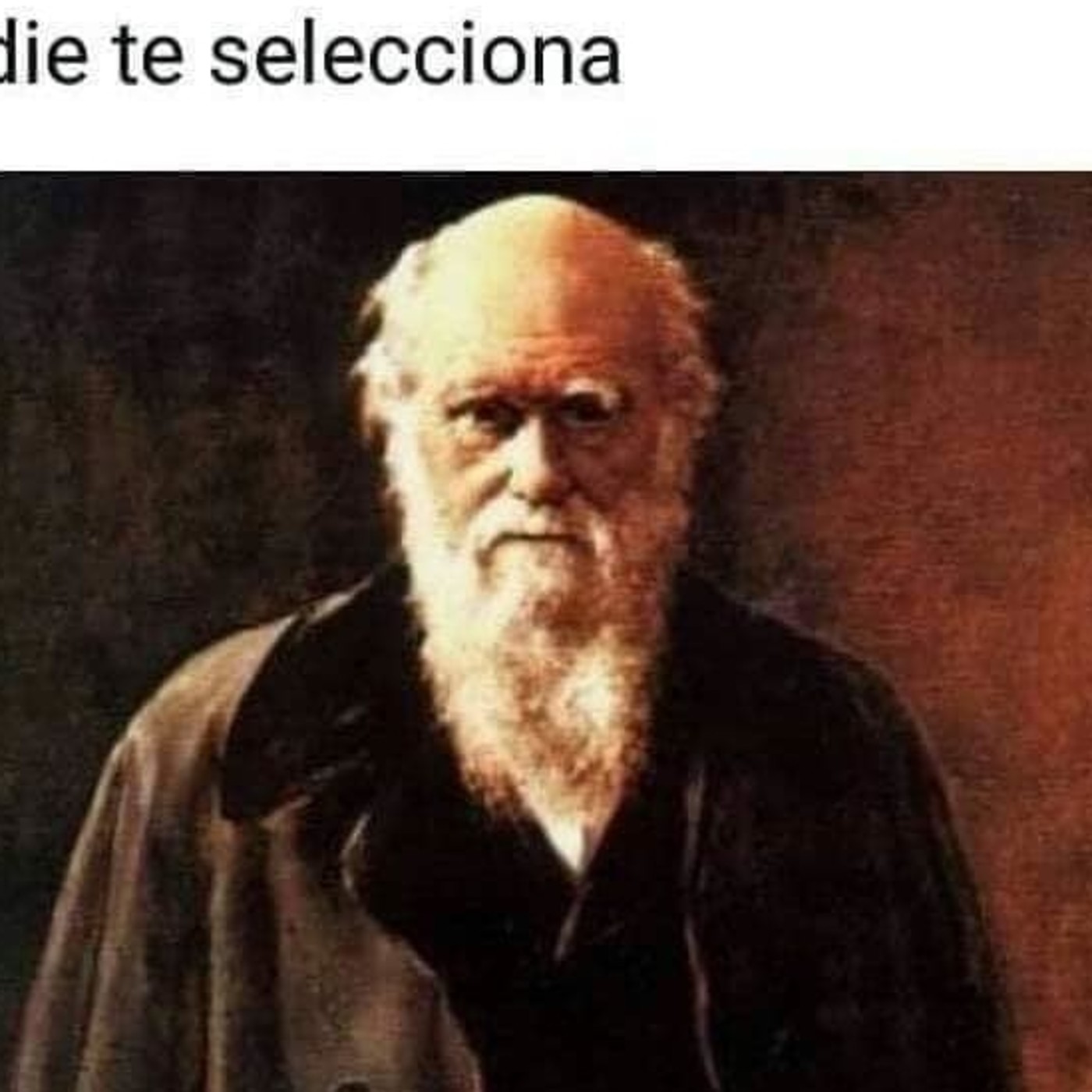 Andres1983
