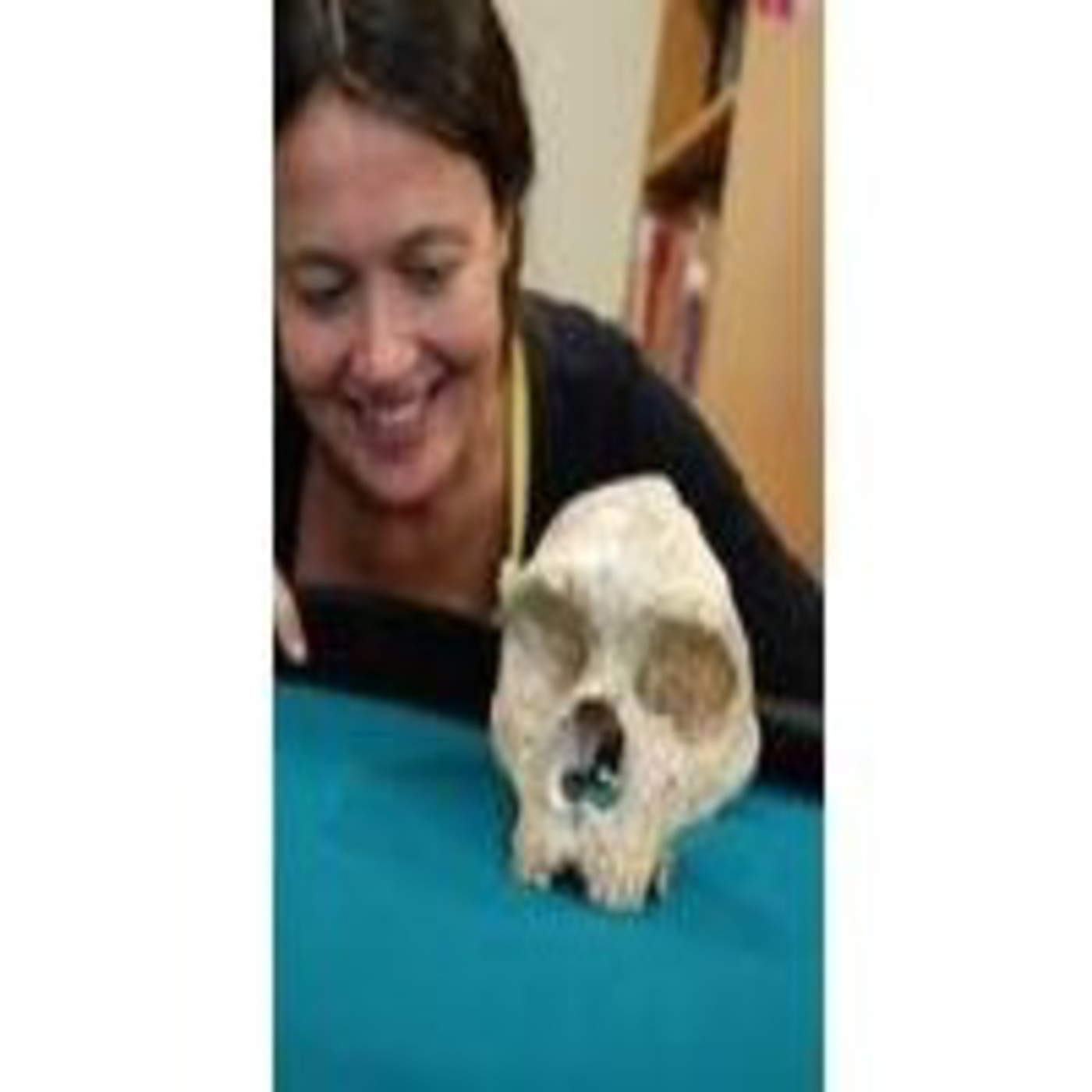 EVOLUCIÓN HUMANA e DENTICIÓN por María Martinón