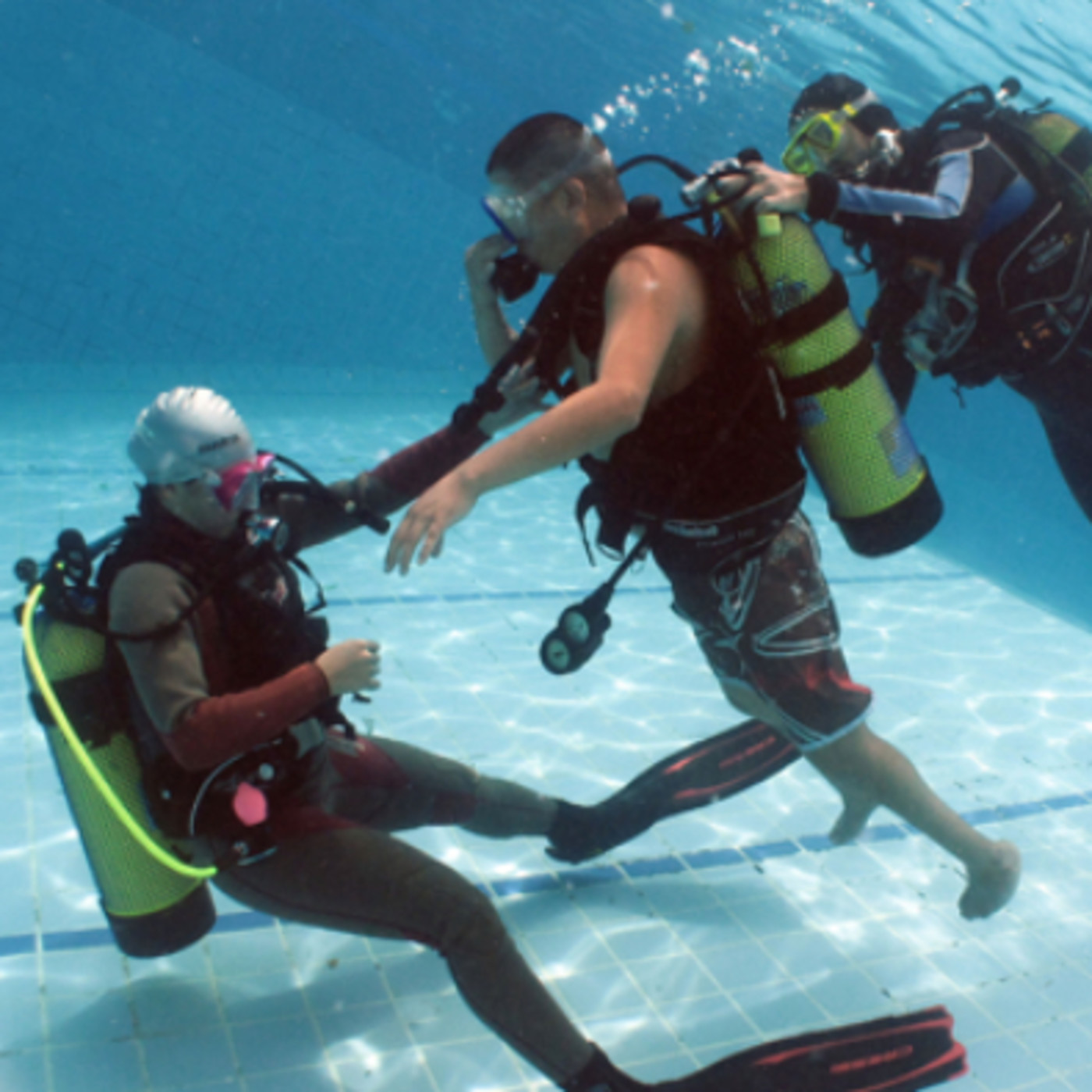 programayolotransformo