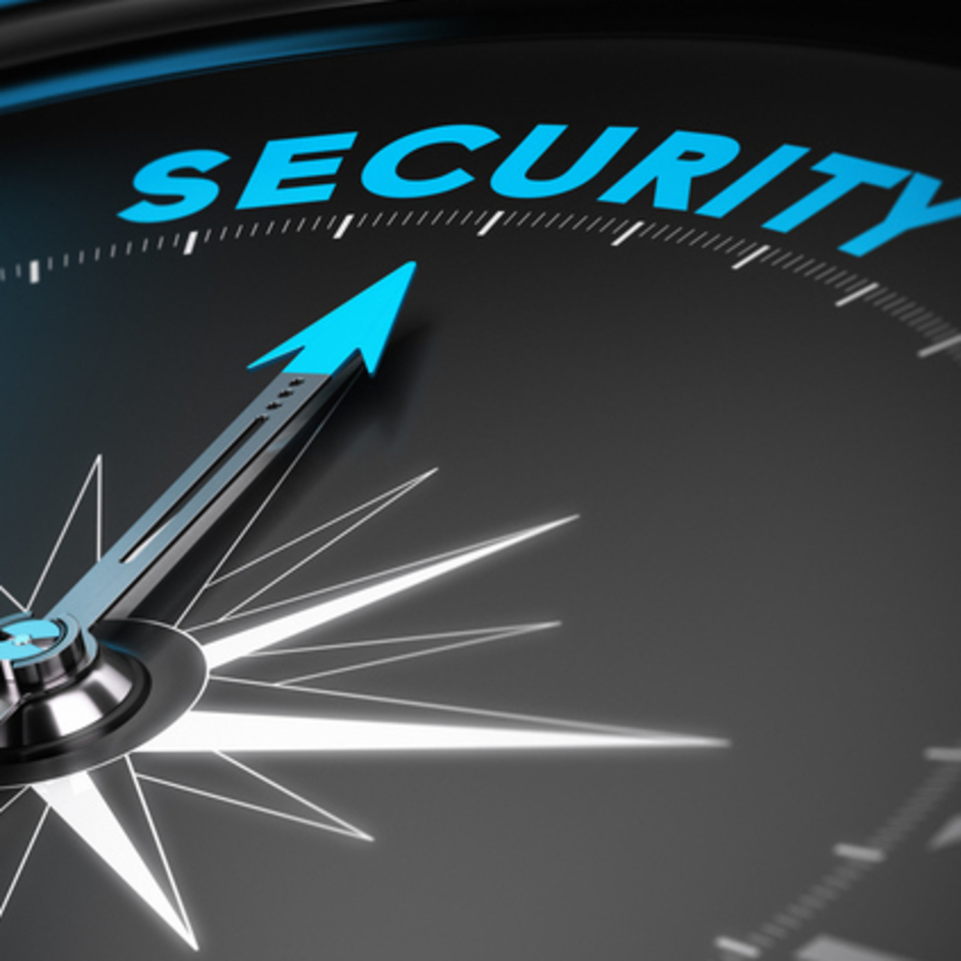 Seguridad Empresarial