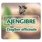 El Ángel de tu Salud - AJENGIBRE