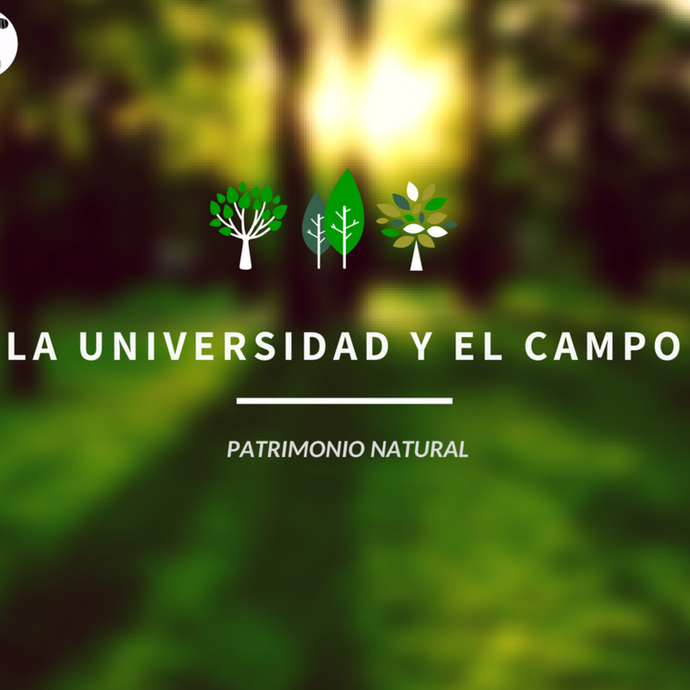 La Universidad Y el Campo
