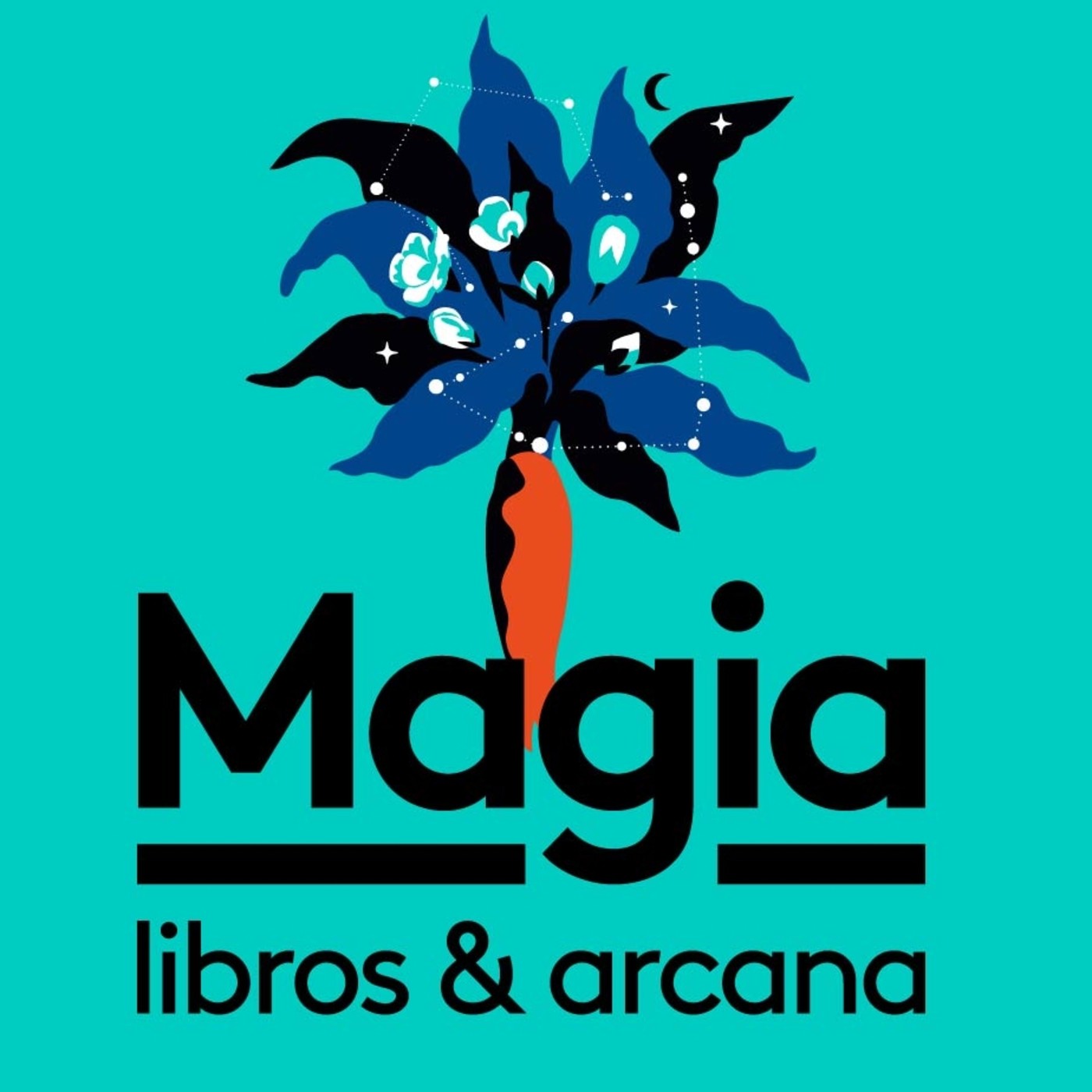 Libros Mágicos