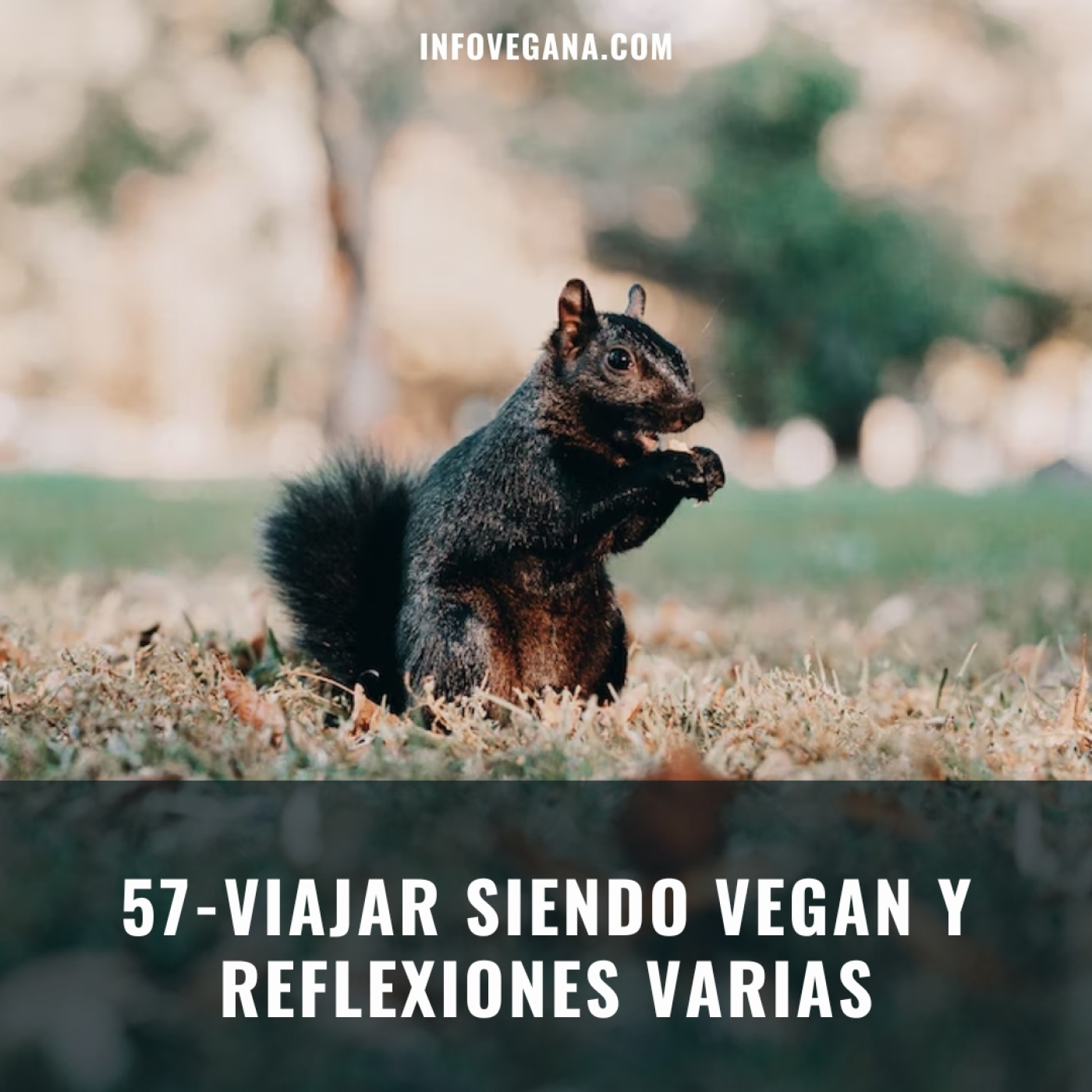 Infovegana, podcast de veganismo y sostenibilidad
