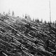 Off tunguska programa 5 (20-05-2019)