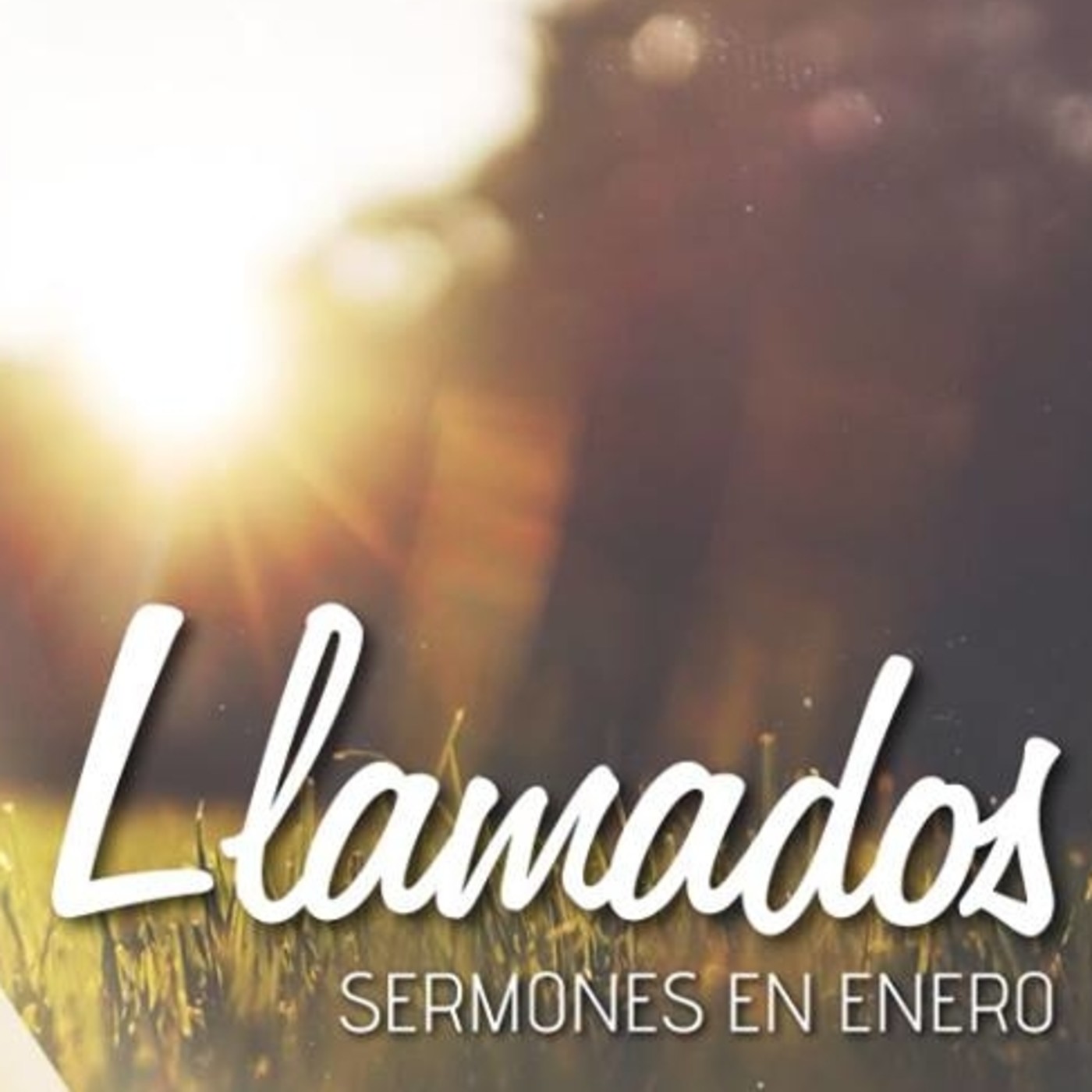 Sermones 2015