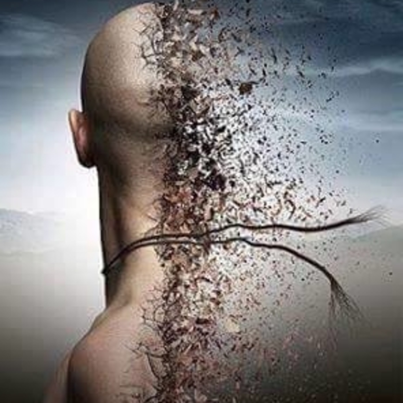 Sin Identidad
