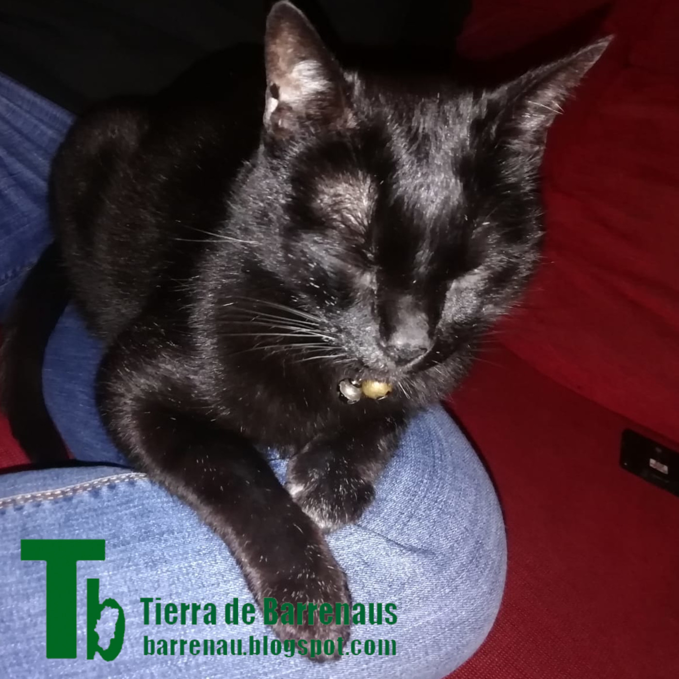 Tierra de varrenadas