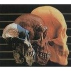 Análisis crítico de la teoría evolucionista