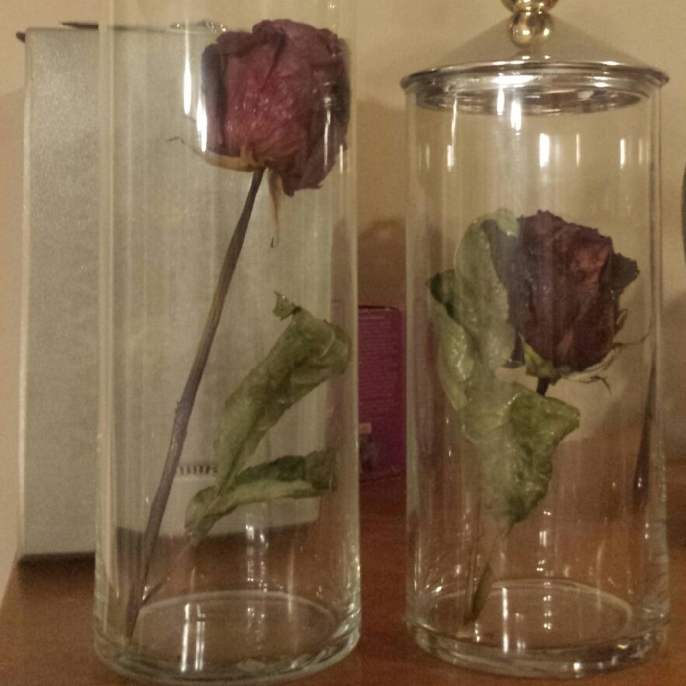 Nuestra Mente es Maravillosa