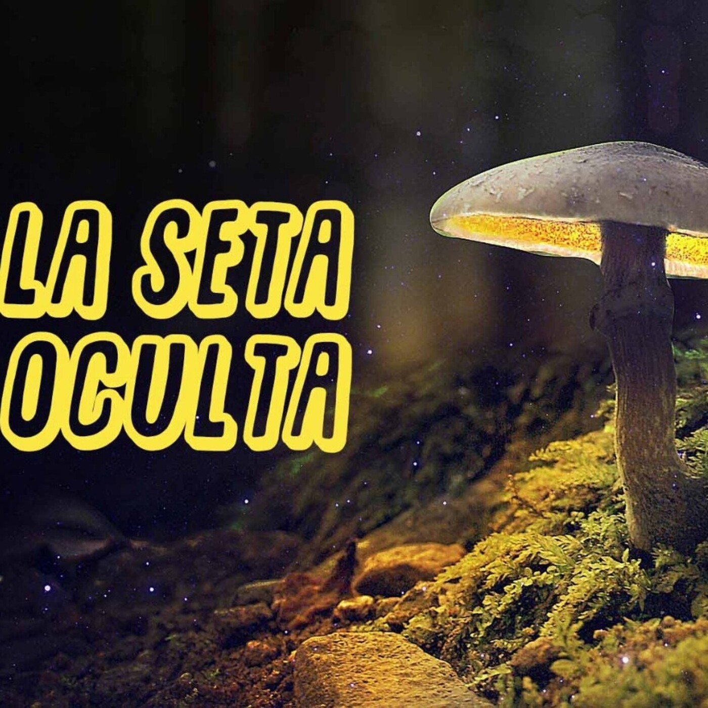 La Seta oculta