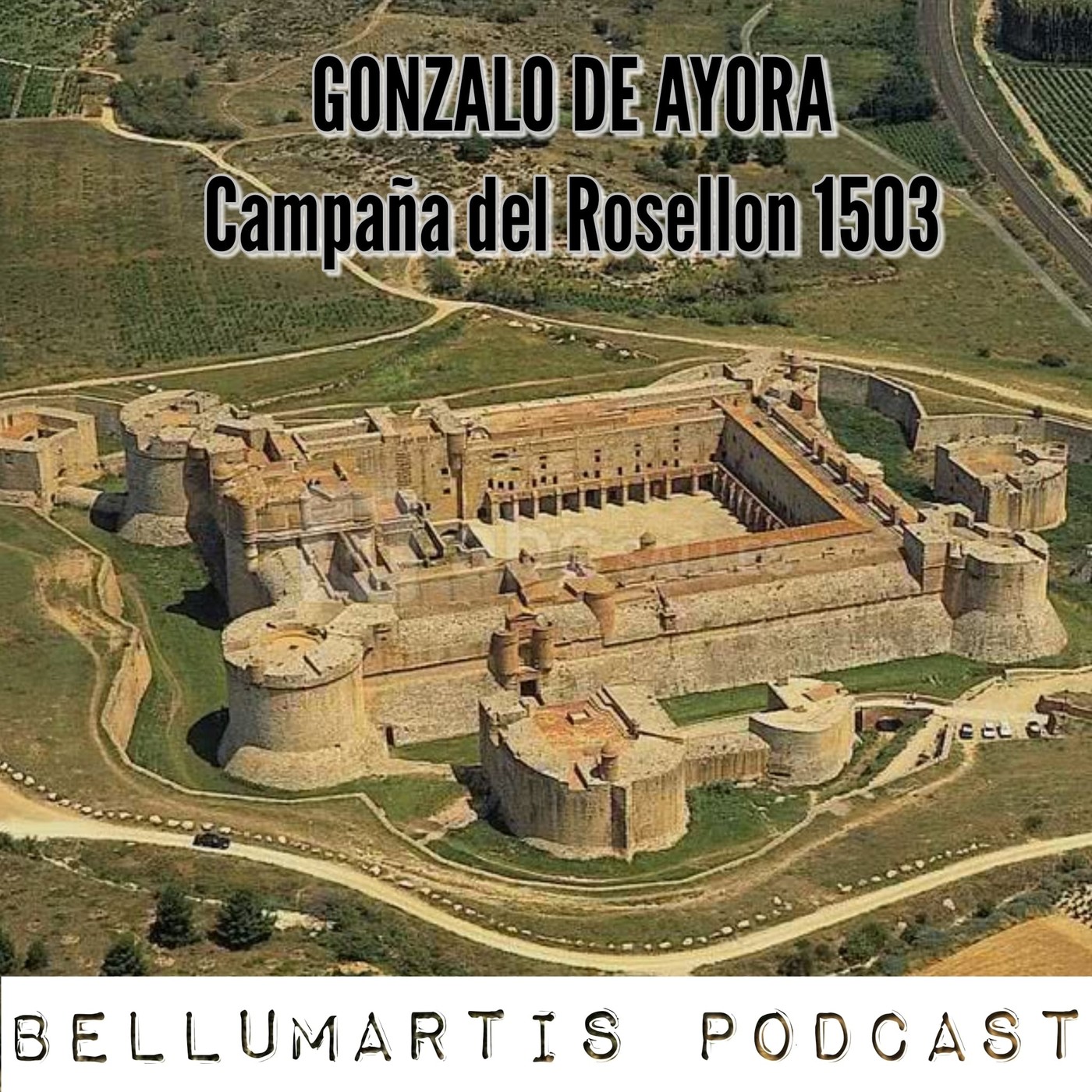 GONZALO DE AYORA y la Campaña del Rosellón 1503