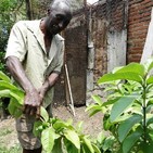 Parcelas familiares camagüeyanas por estilo de vida favorable y una ética ecológica