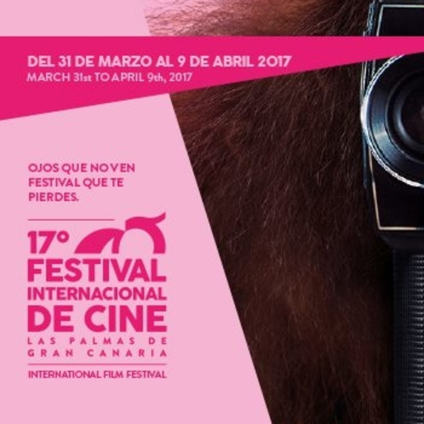 Presentación LPA FILM FESTIVAL 2017 y estrenos de la semana