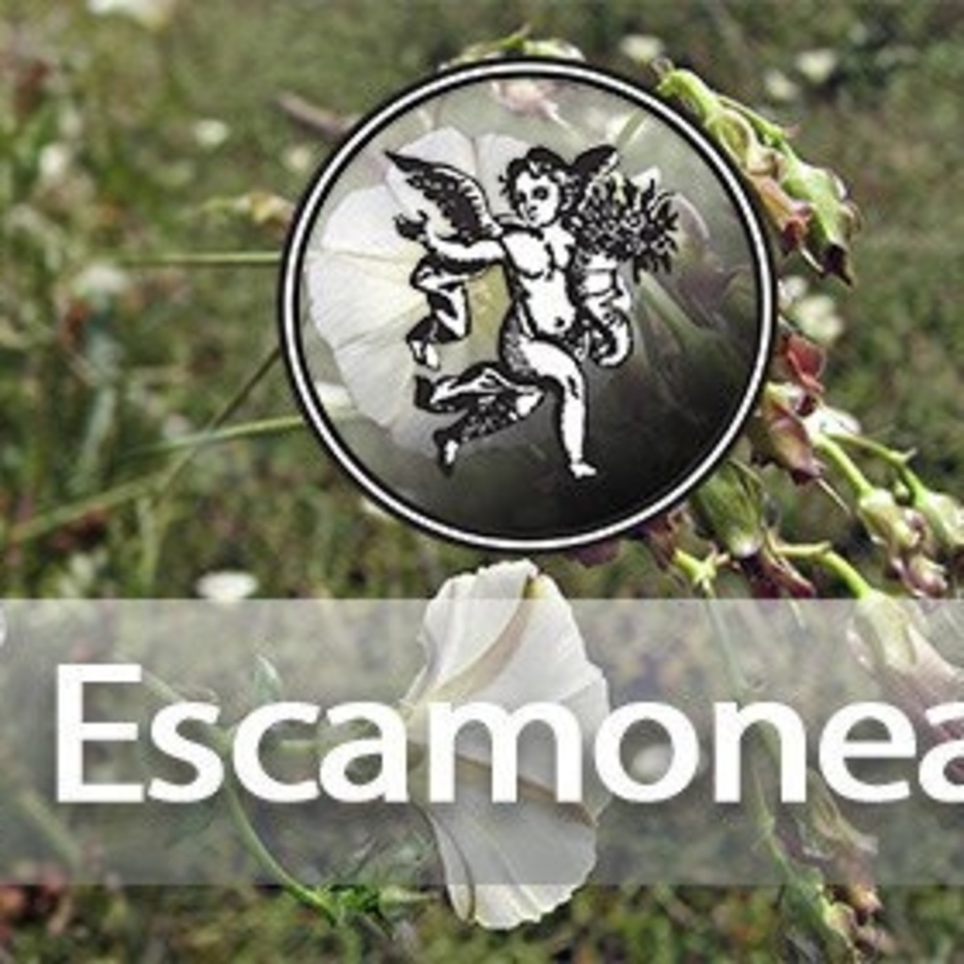El Ángel de tu Salud - ESCAMONEA episode artwork