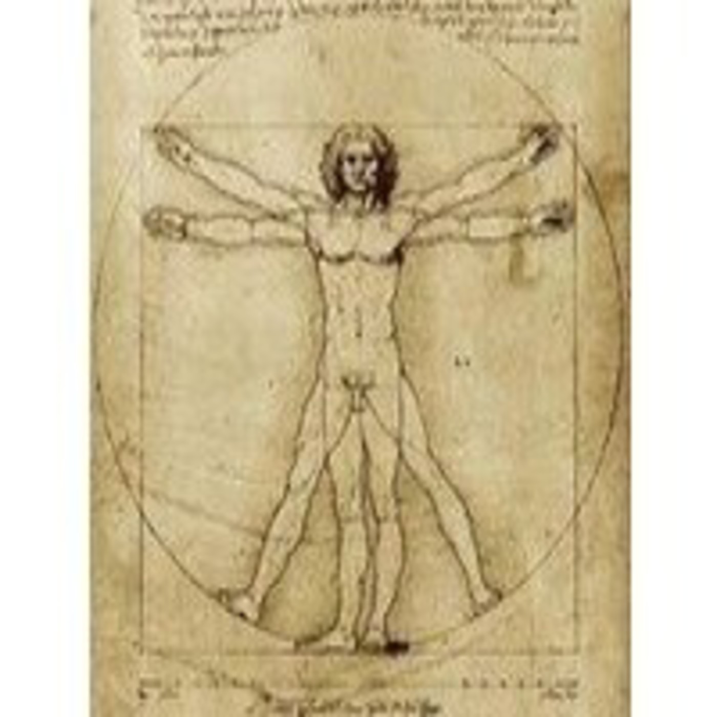 LA MIRADA DEL ARTE