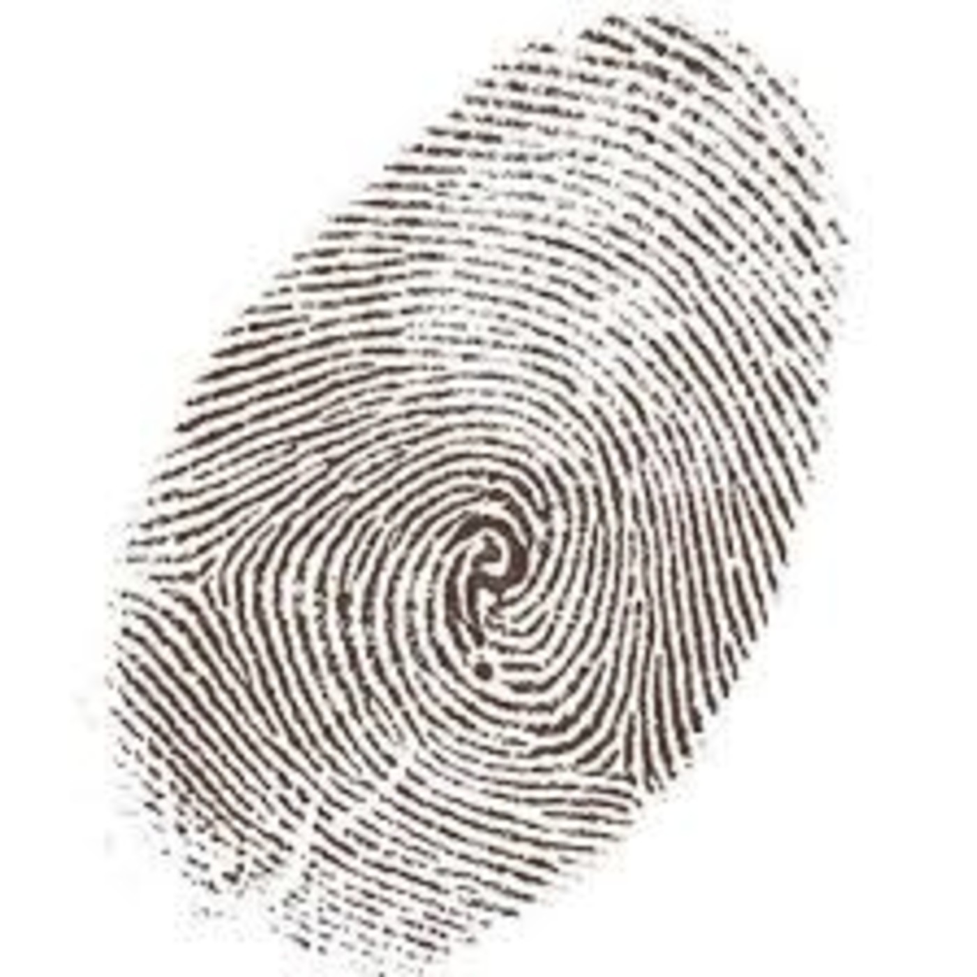 Cultura Pop 04 - LA SOCIEDAD DEL MISTERIO