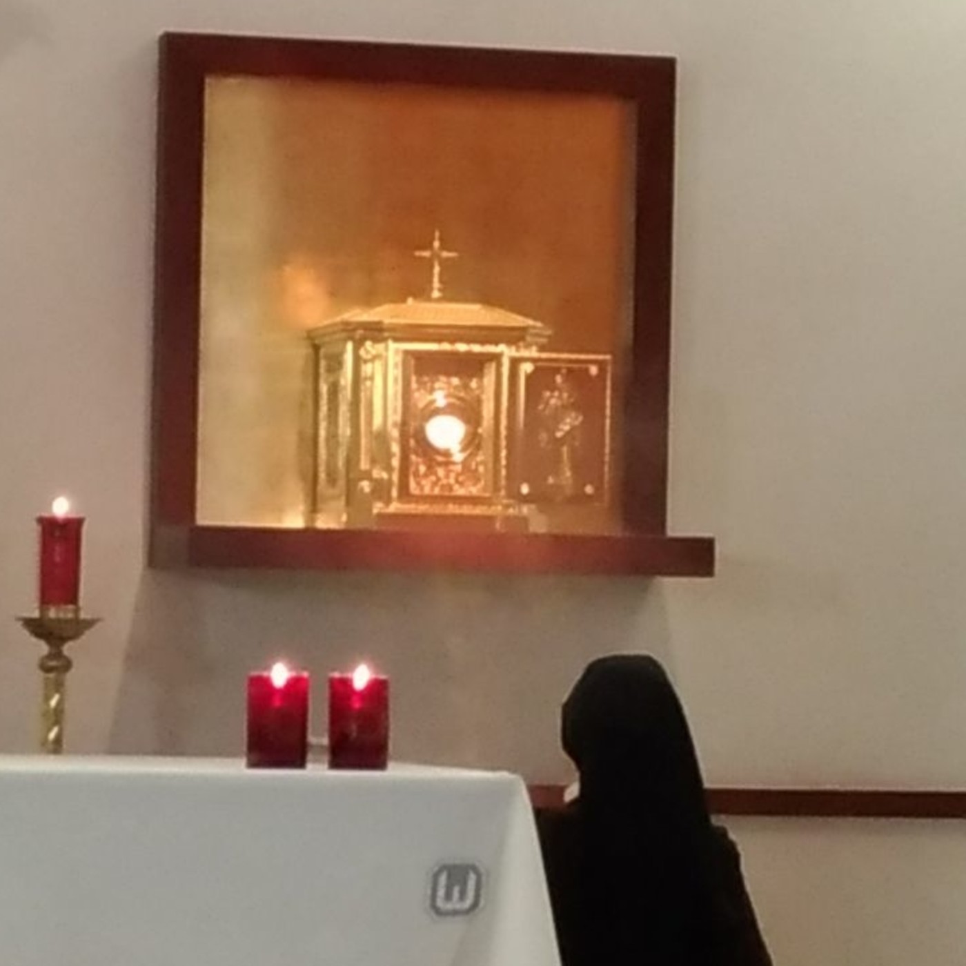 Adoraciones Samaritanas