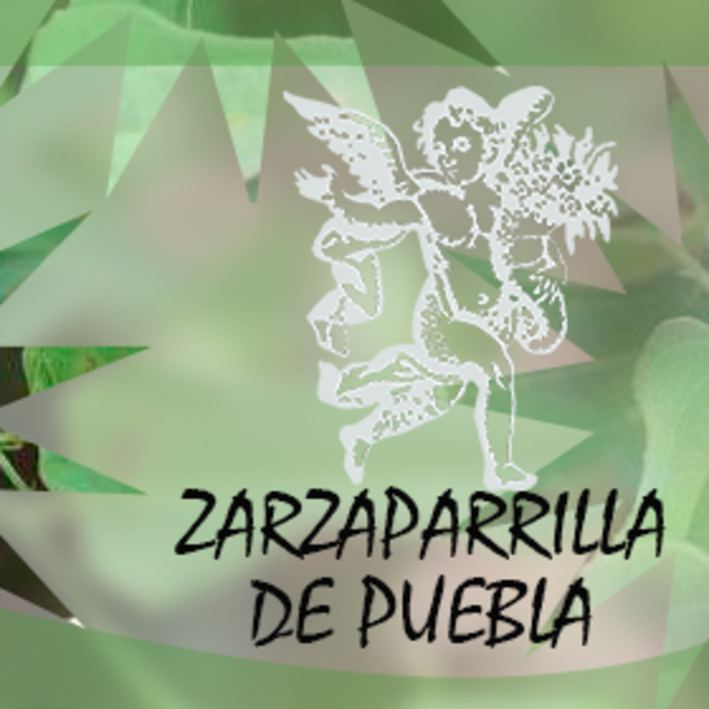 El Ángel de tu Salud - ZARZAPARILLA DE PUEBLA episode artwork