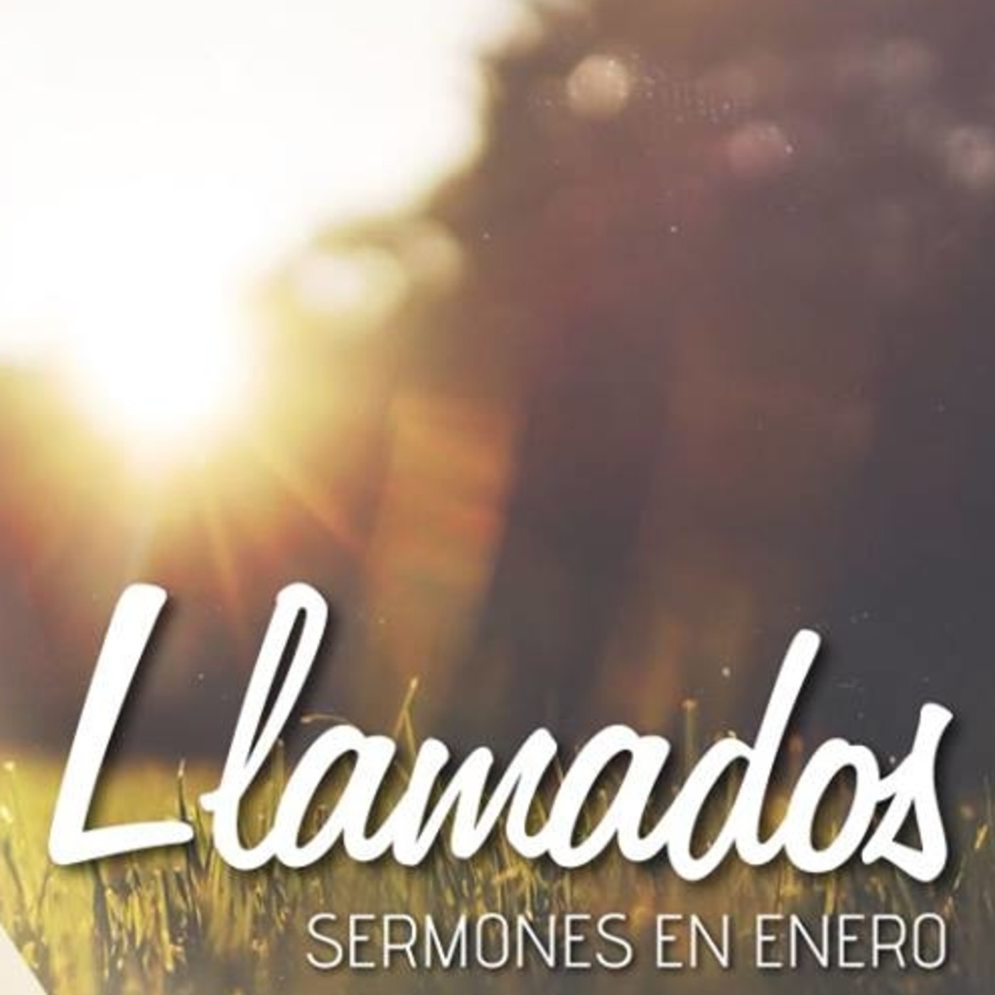Sermones 2015