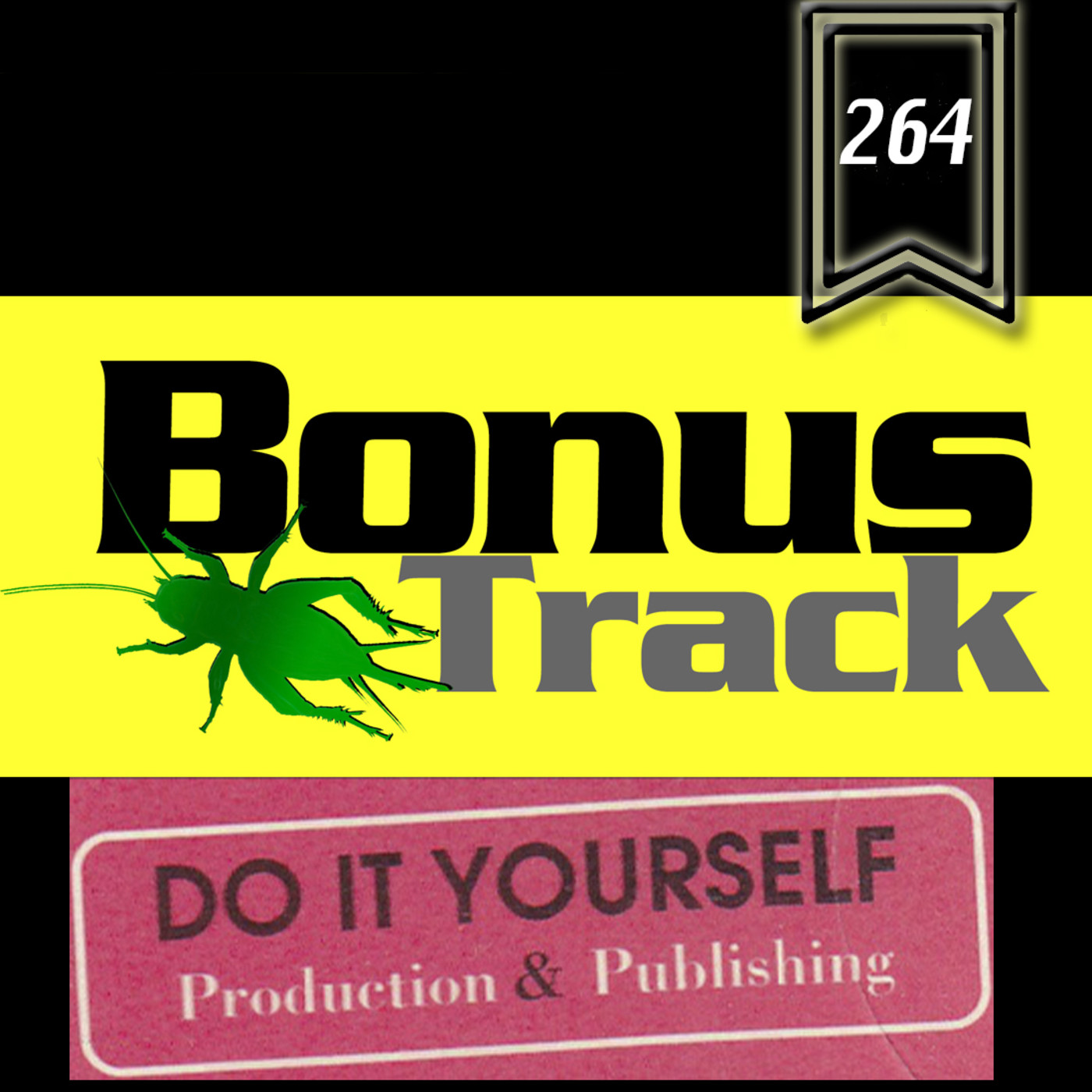 Bonus Track 264 (Especial Do it yourself records) episode artwork