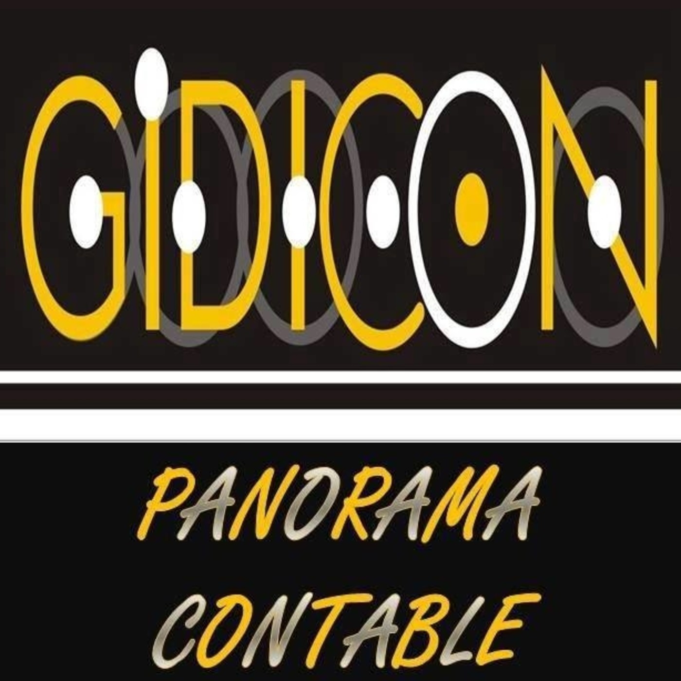 Panorama Contable