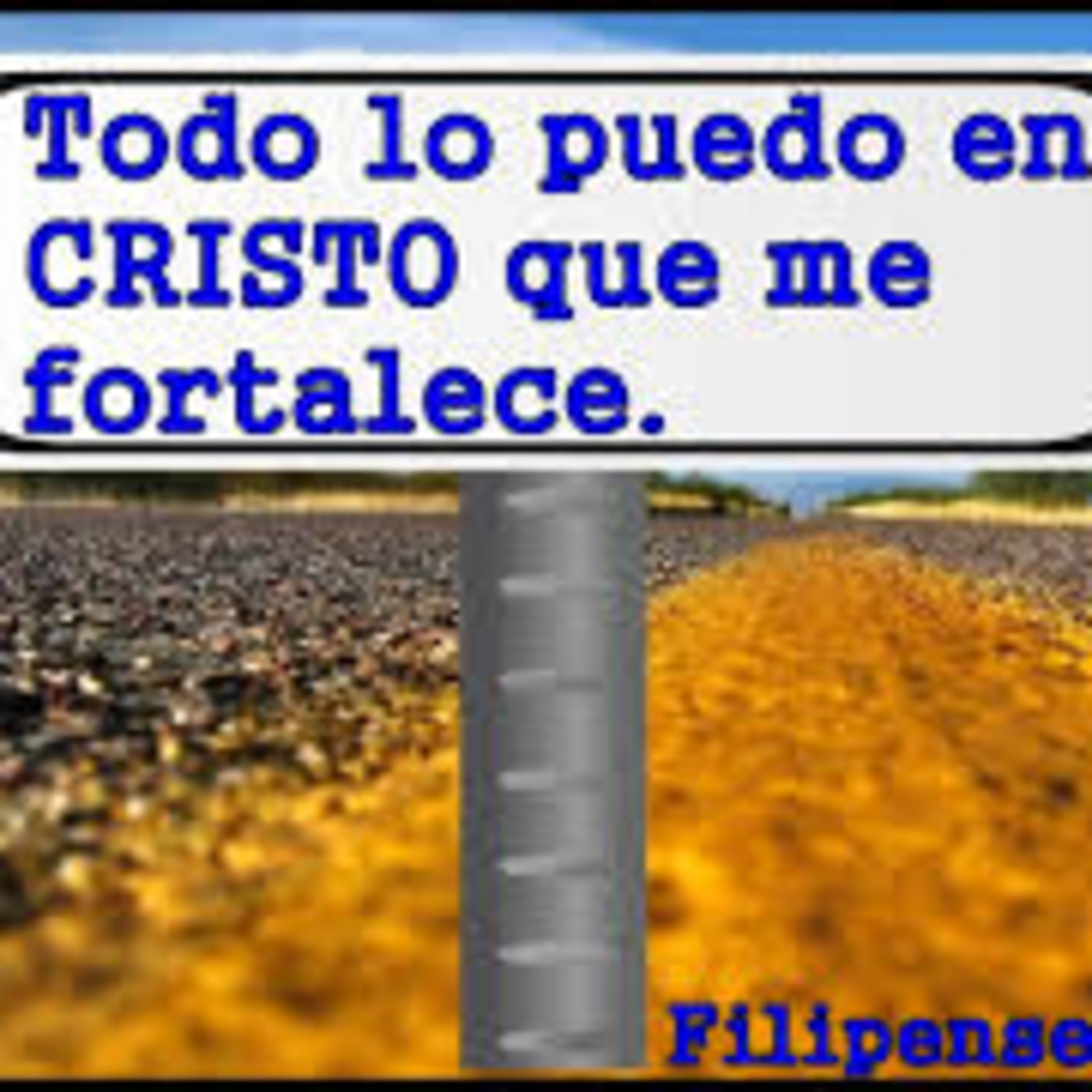 ofir urrea