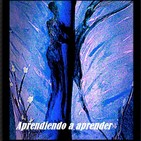Aprendiendo a aprender
