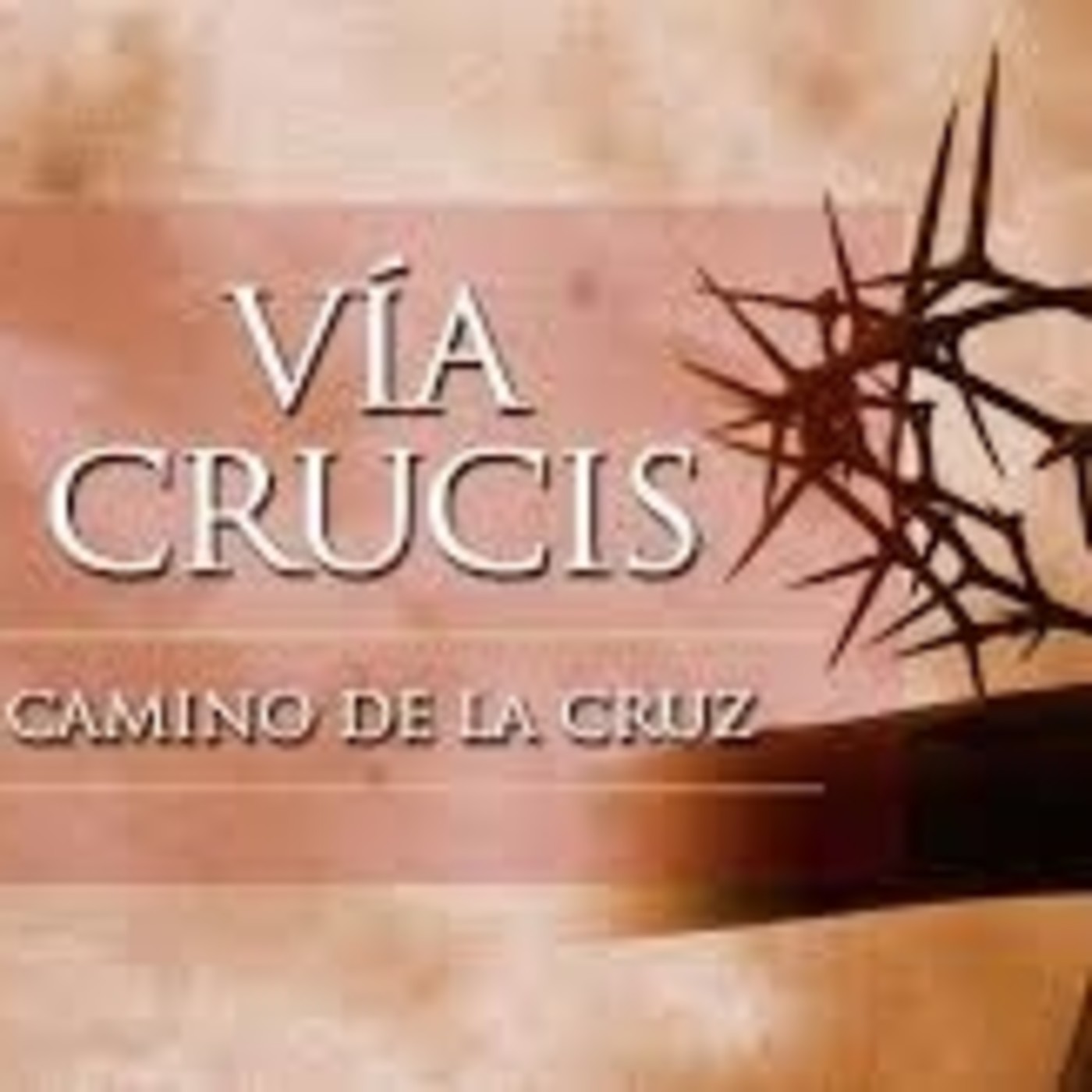 SANTO VIACRUCIS EN AUDIO Y CON TEXTO EWTN episode artwork