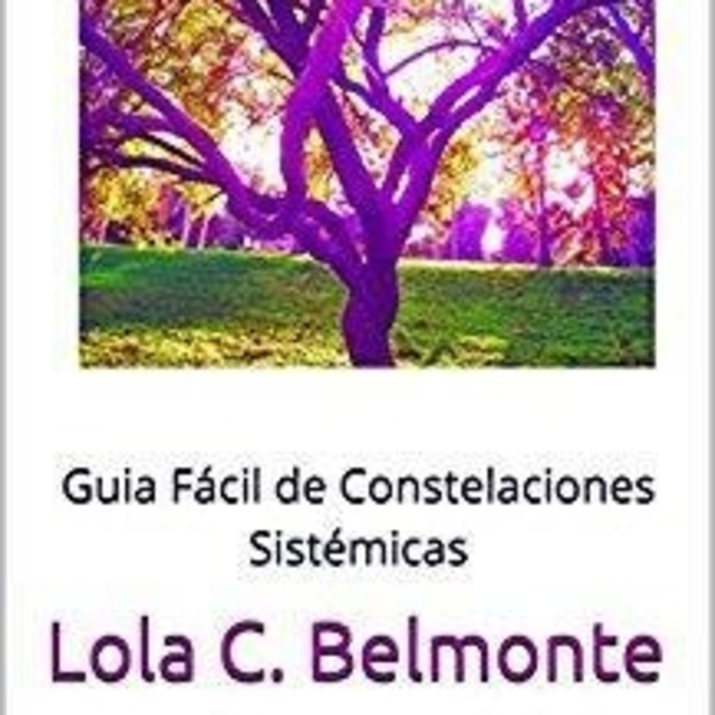 La Otra Herencia, Guia fácil Constelaciones episode artwork