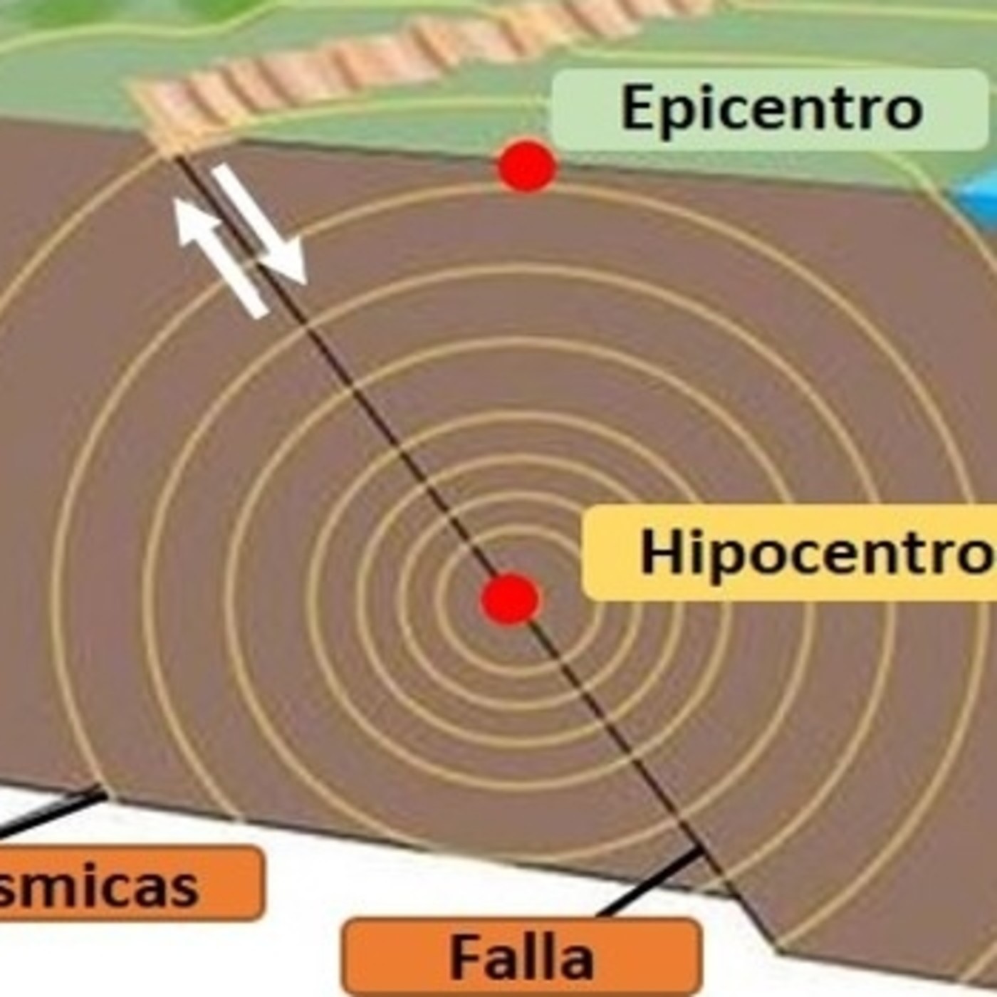 Podcast Radio Patria Soñada 104.1 FM
