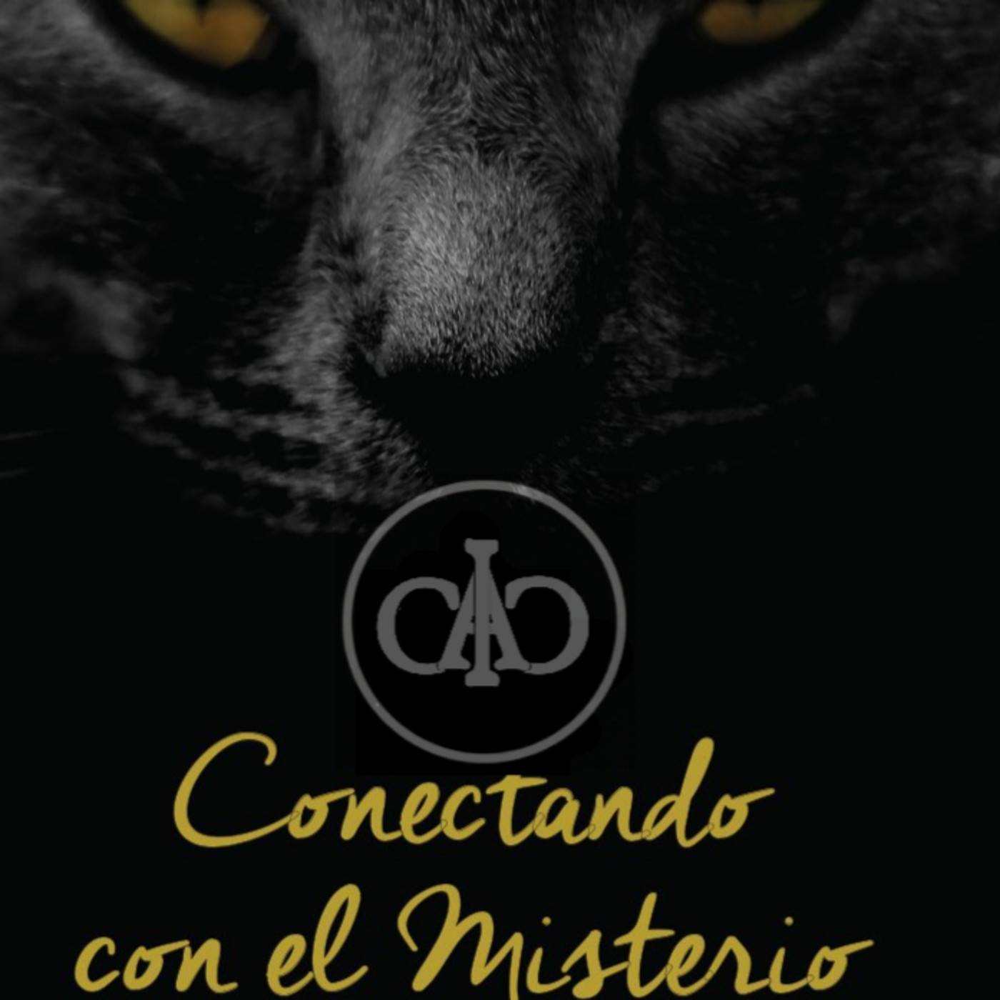 Conectando con el Misterio
