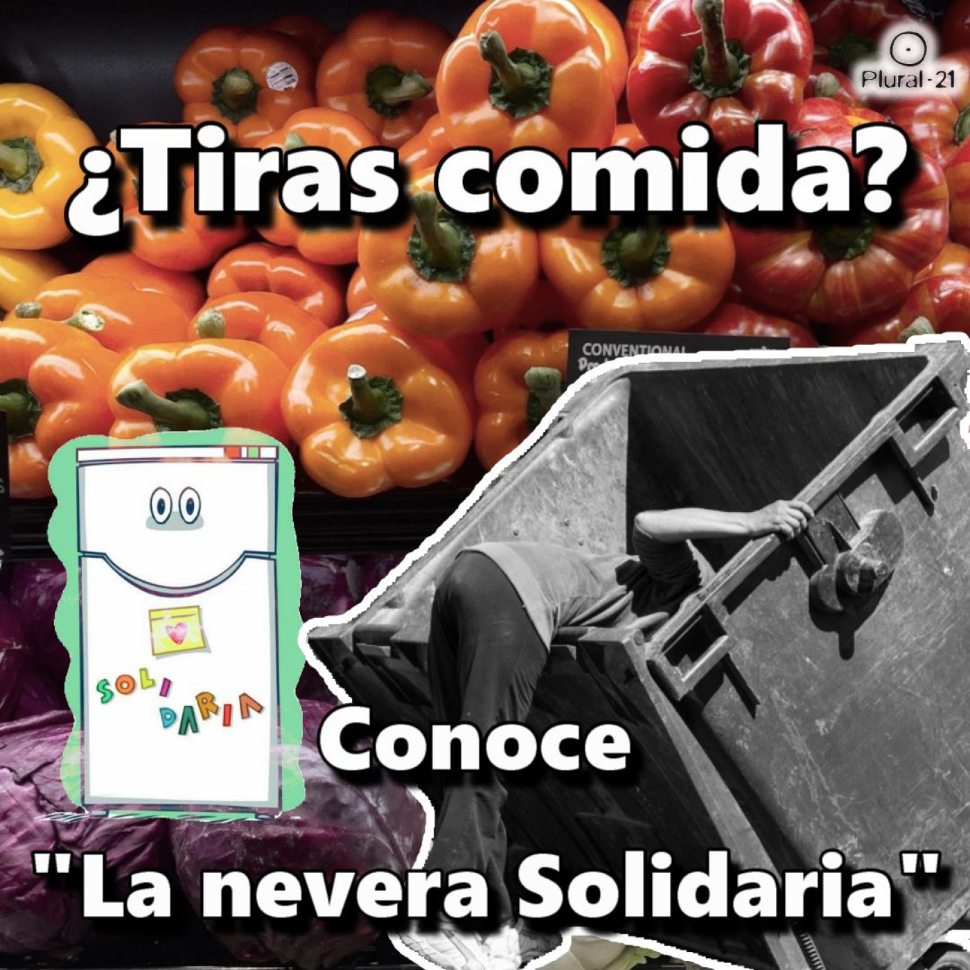 LA NEVERA SOLIDARIA (versión en castellano)