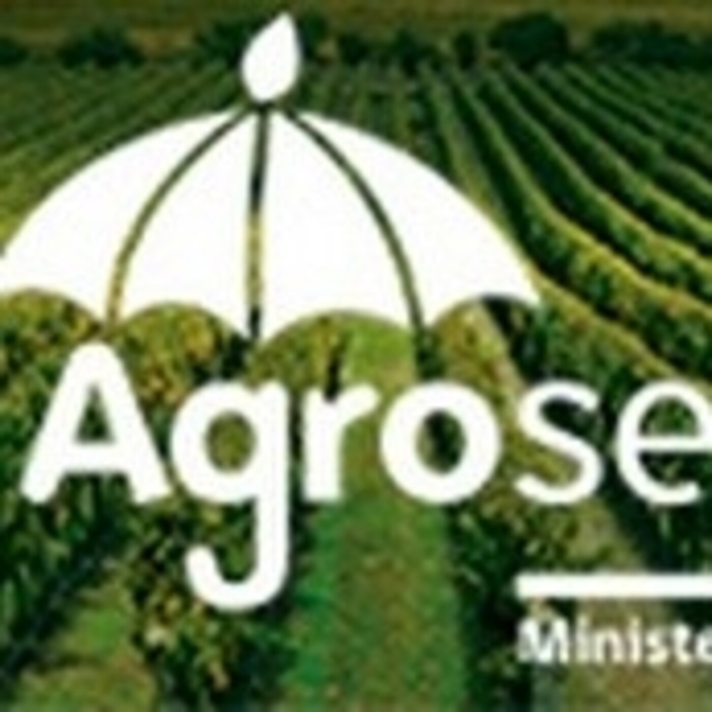 Campo sustentable Radio Alfaomega