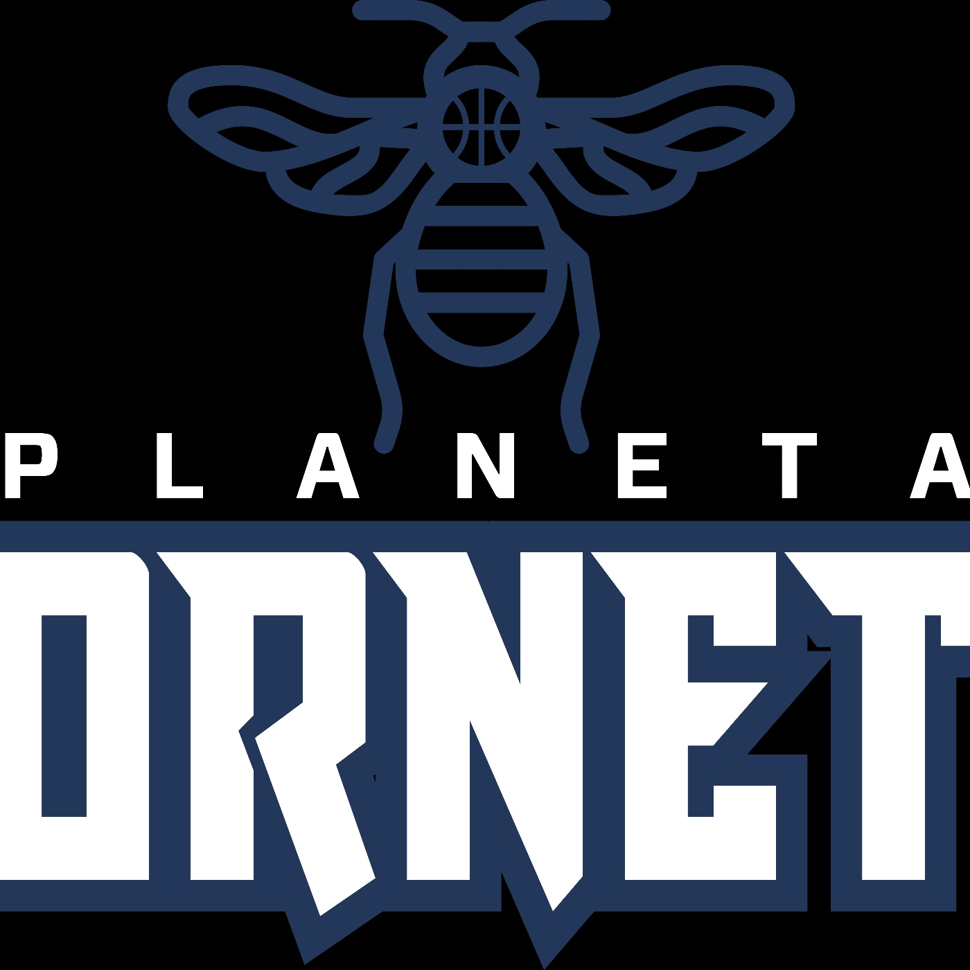 Planeta Hornets (Con Toni Vidal): Previa temporada 23/24 episode artwork