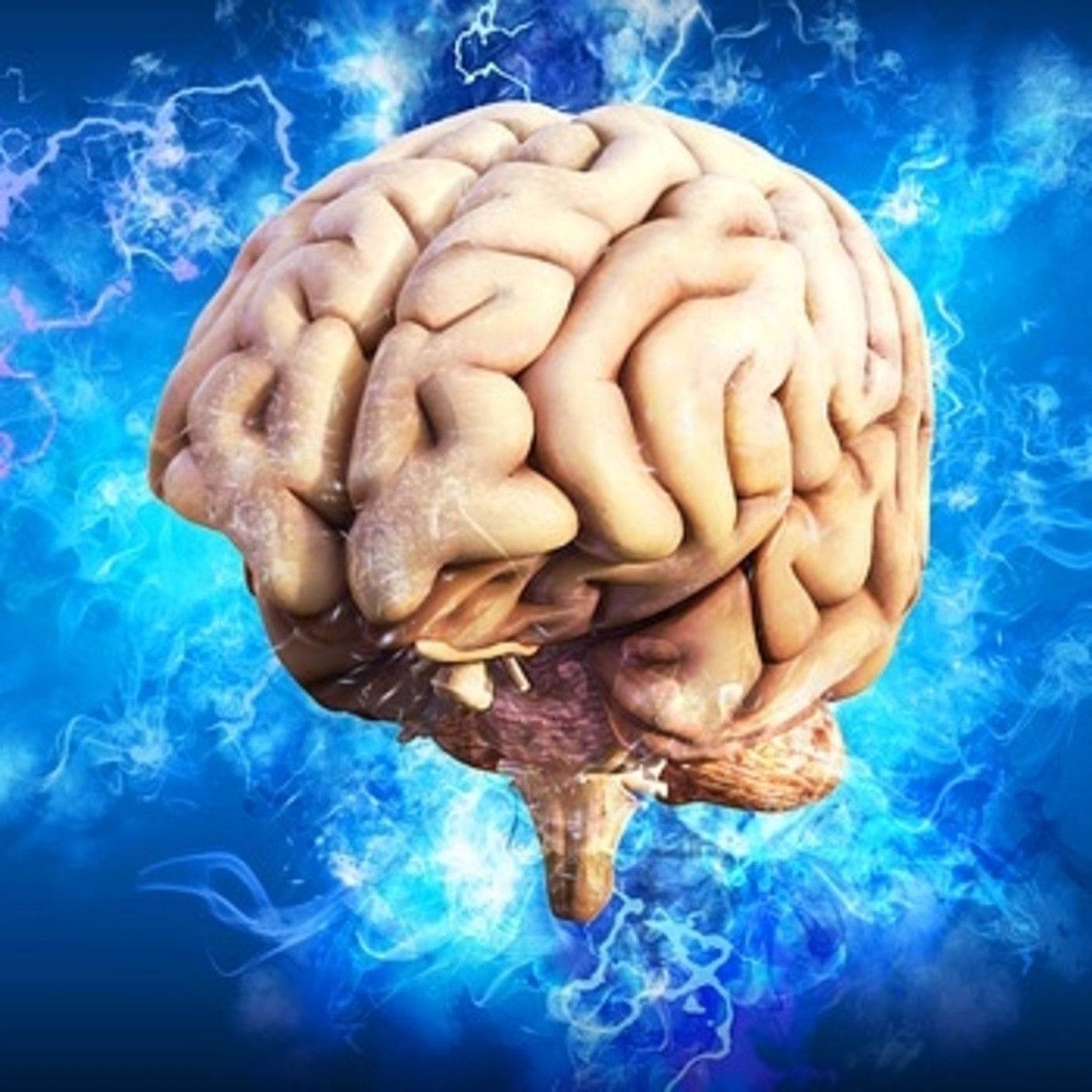 Filosofía y cerebro: El secreto de la memoria y los sesgos cognitivos. Philos Sophia. episode artwork