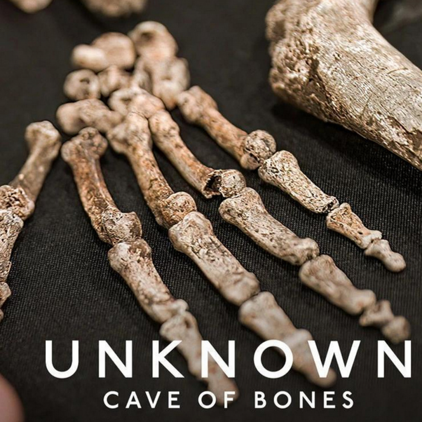Lo desconocido: La cueva de los huesos