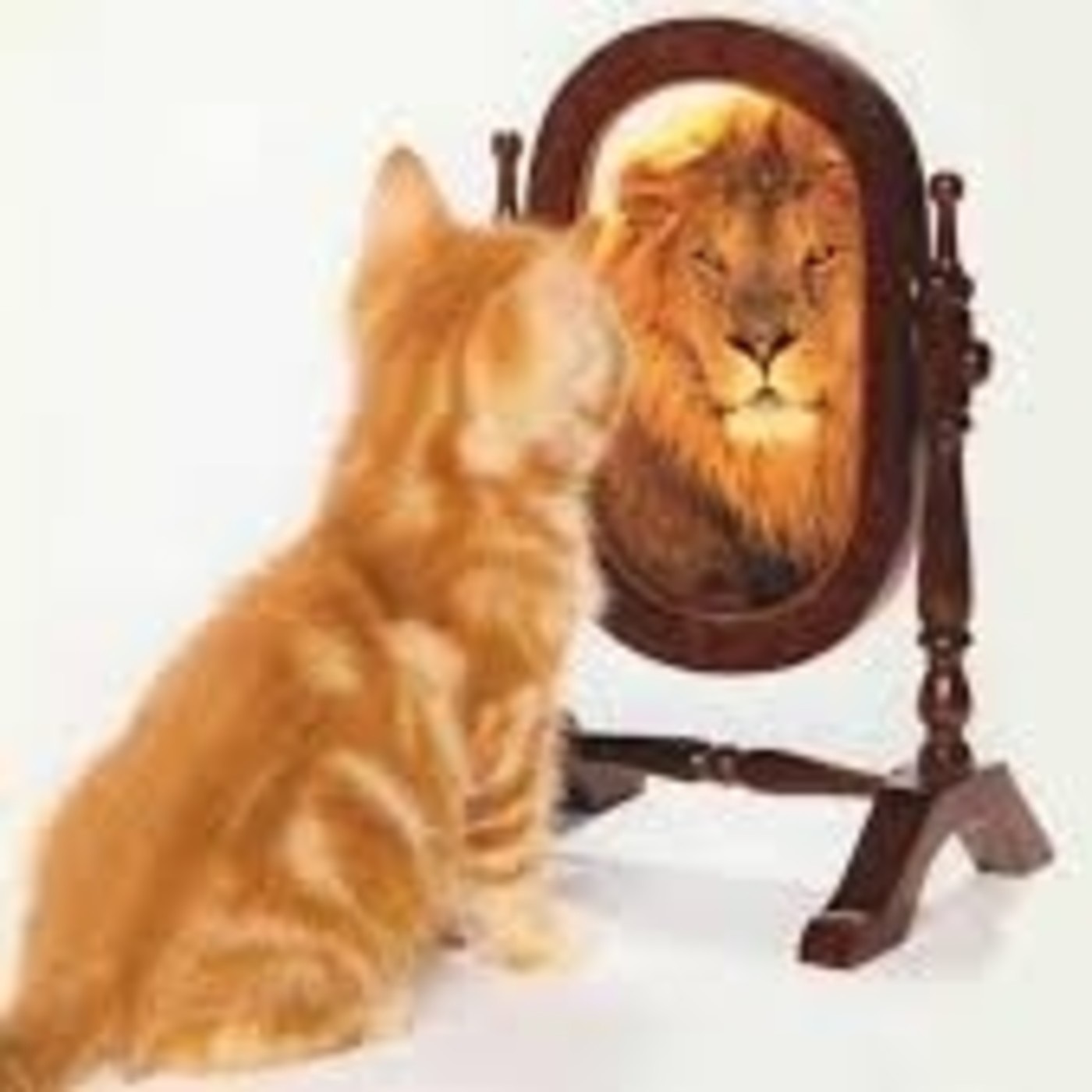 Saca el héroe que vive dentro de ti!