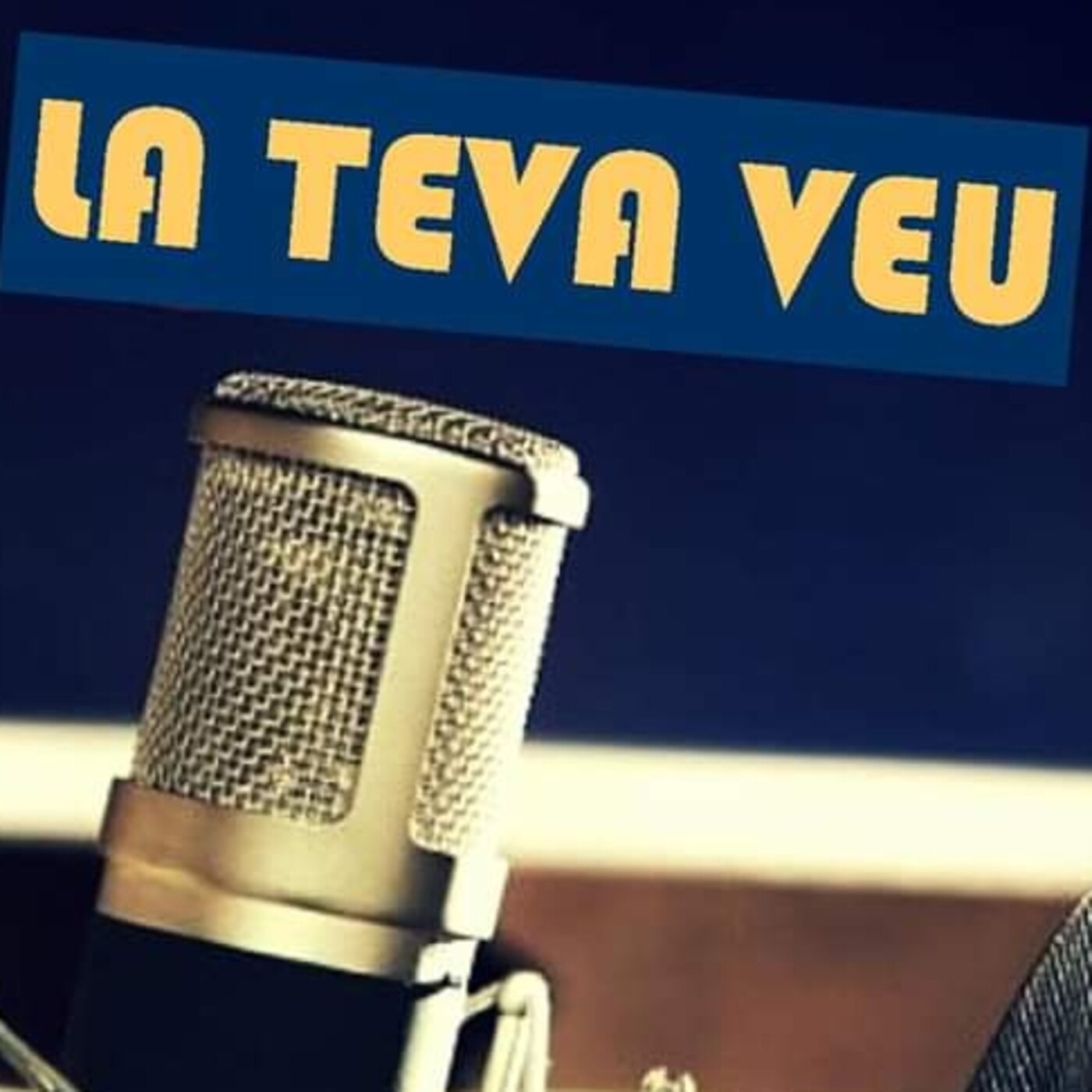 La teva veu