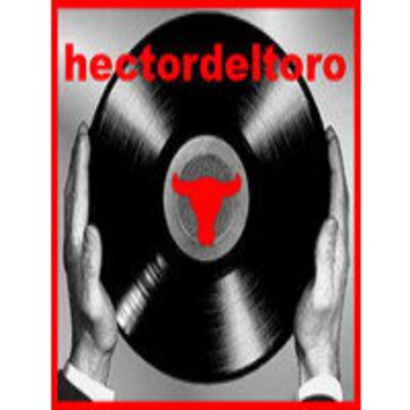 hectordeltoro