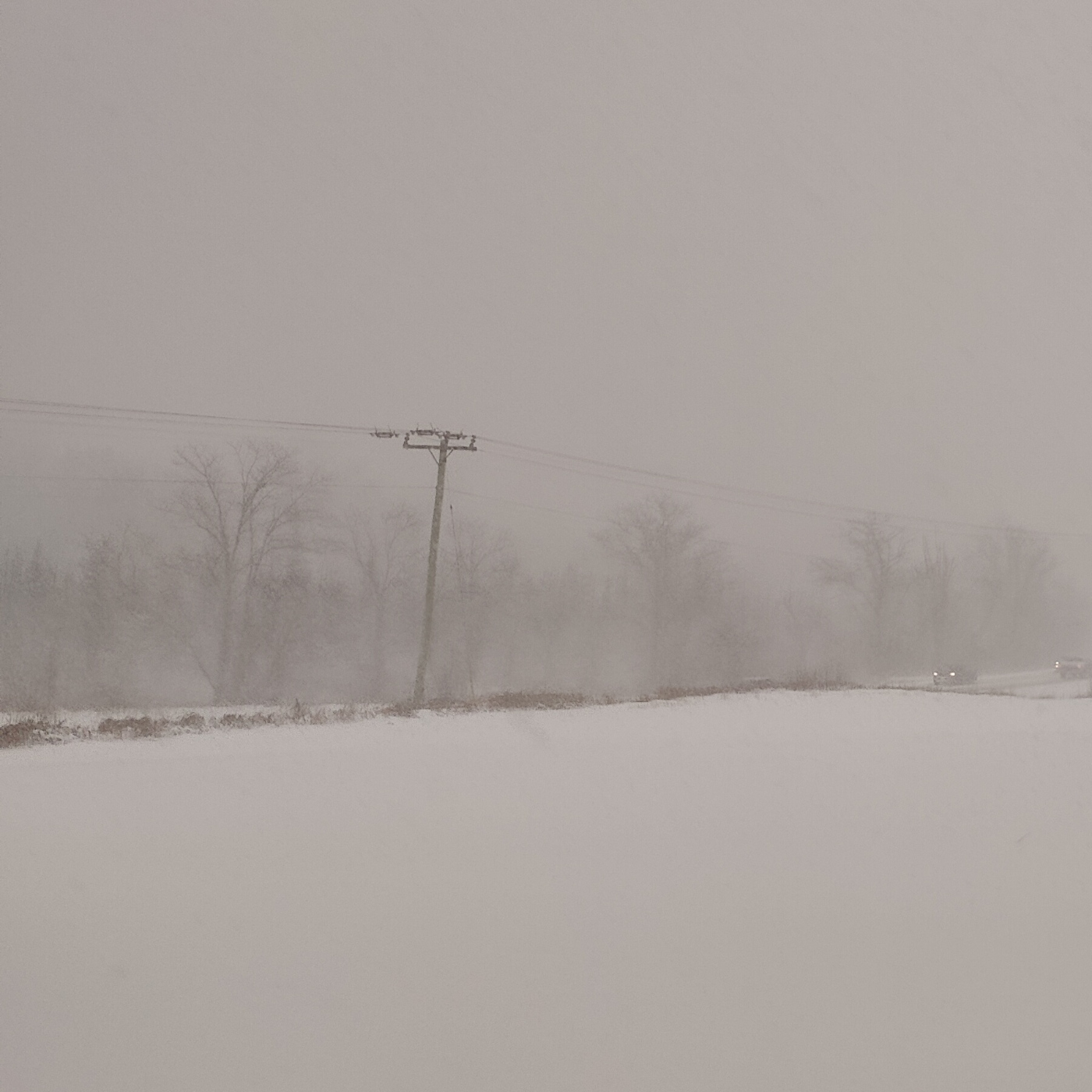 NTN 117 -  ️Estado del OpenSource en 2023 y la batalla de AIs entre las BigTech