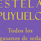 Todos los gusanos de seda de Estela Puyuelo