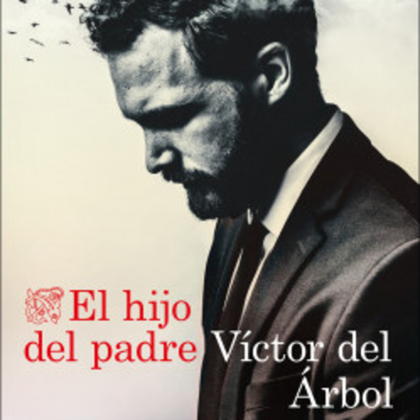 La librería de Bego Beristain
