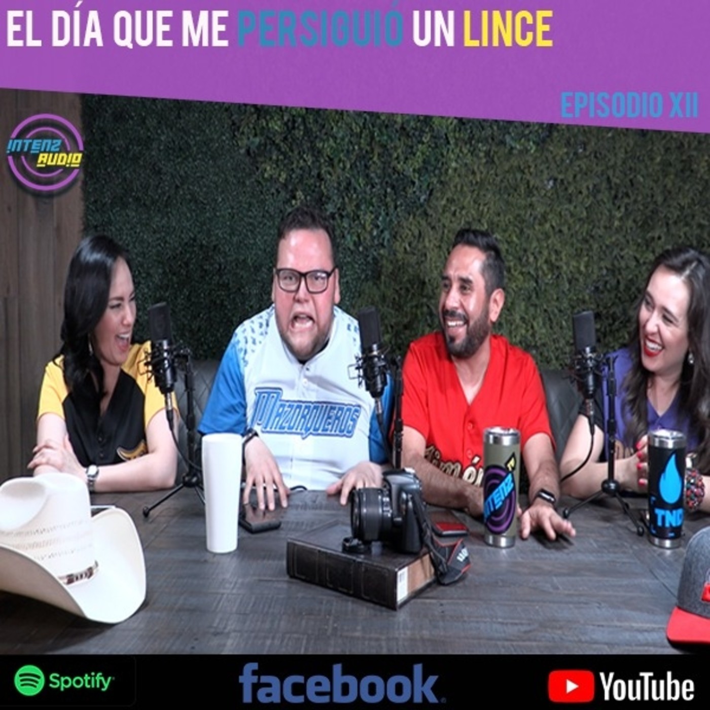 IntenzAudio