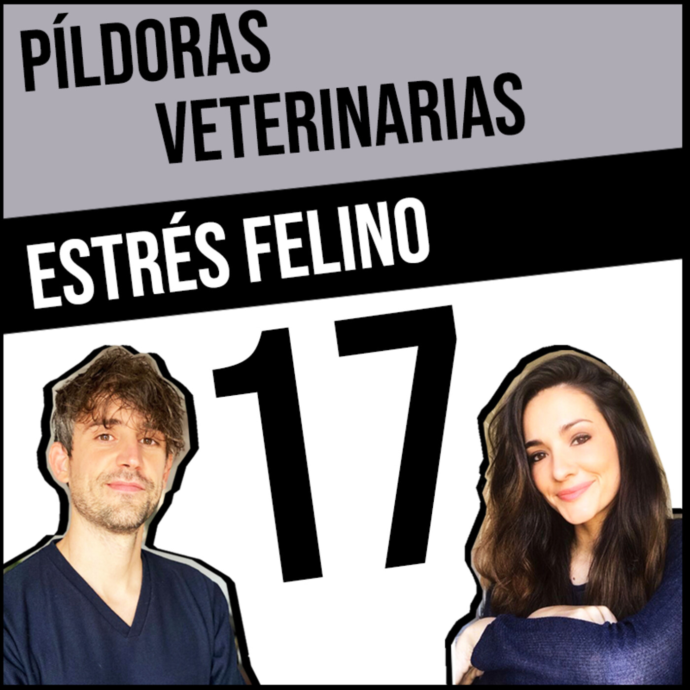 Píldoras Veterinarias