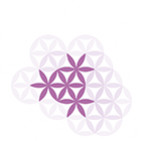 embed image