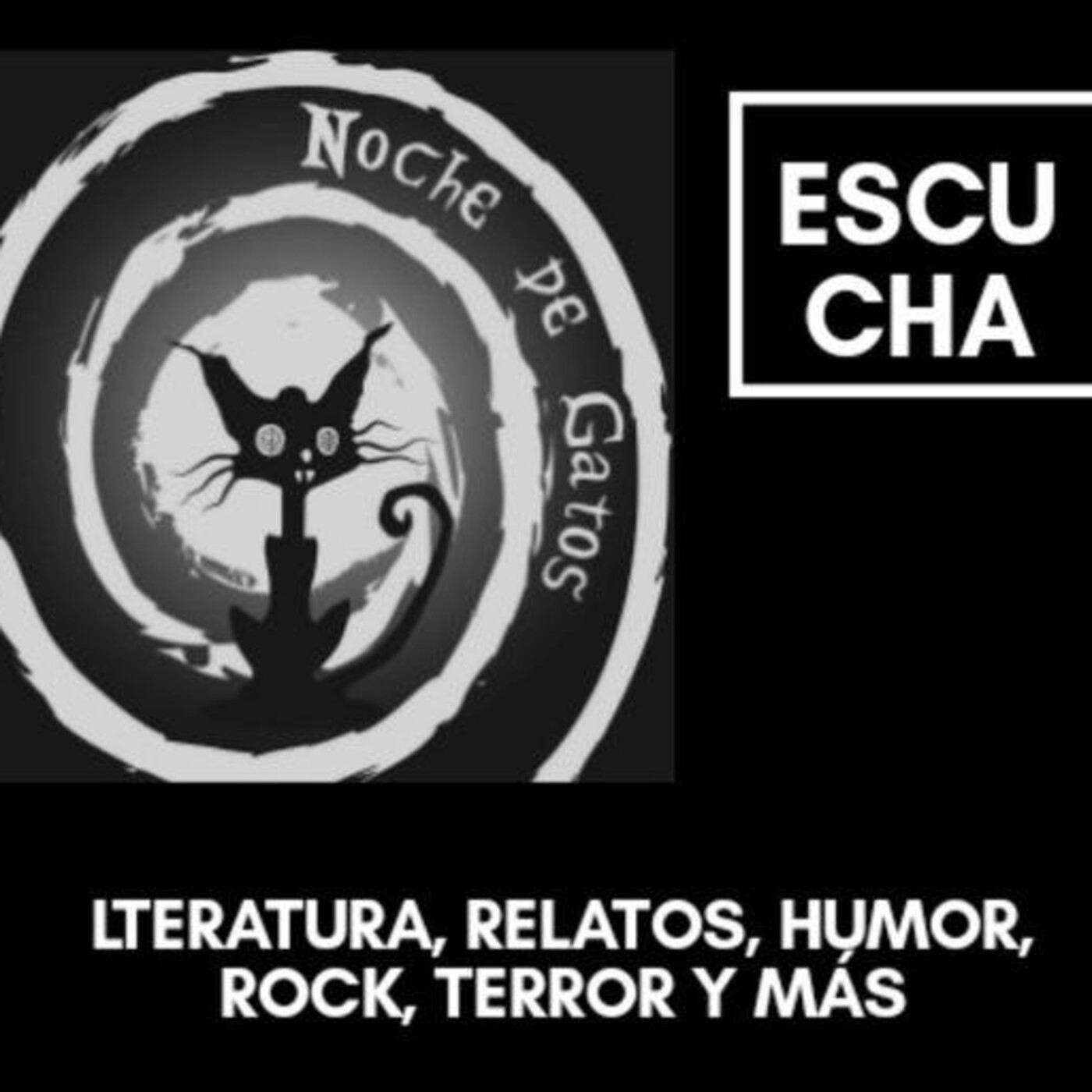 Noche de Gatos