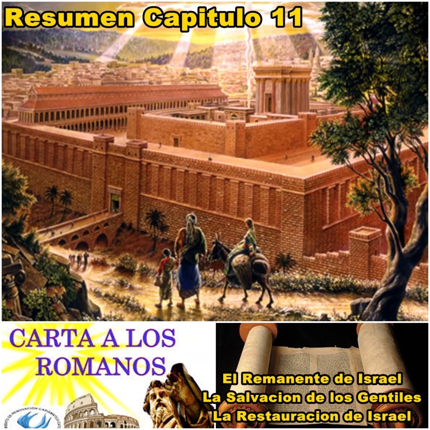 99-Romanos P.V.E